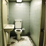 Septic Systems 101: What Every Homeowner Needs to Know”
